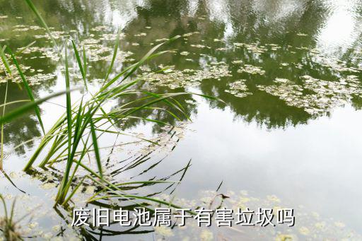  废旧电池属于有害垃圾吗