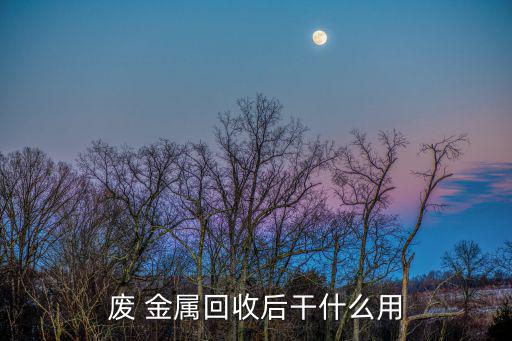 废 金属回收后干什么用