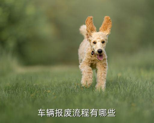 车辆报废流程有哪些