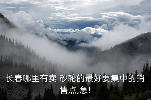 长春哪里有卖 砂轮的最好要集中的销售点,急!