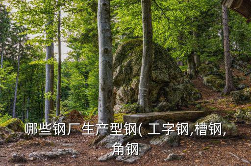 哪些钢厂生产型钢( 工字钢,槽钢,角钢