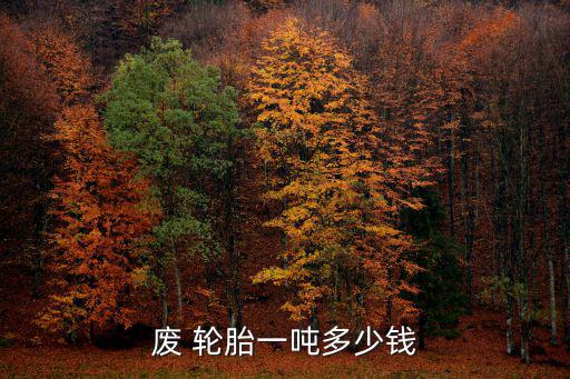 废 轮胎一吨多少钱