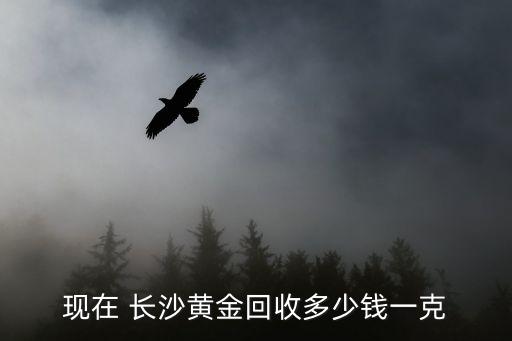 现在 长沙黄金回收多少钱一克