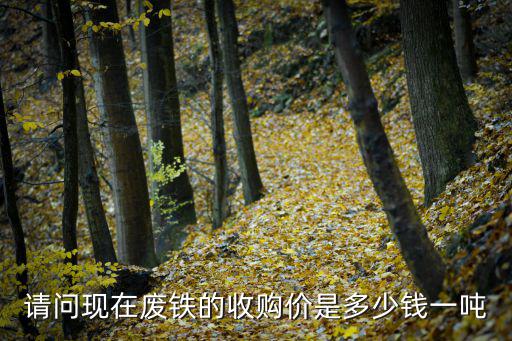 废旧钢板价格咨询,亲爱的废钢回收价格如下