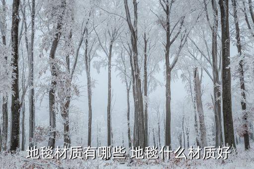  地毯材质有哪些 地毯什么材质好