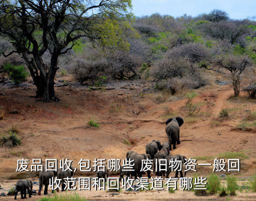 废品回收,包括哪些 废旧物资一般回收范围和回收渠道有哪些