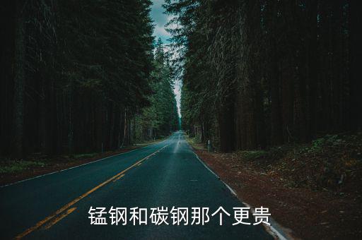 锰钢和碳钢那个更贵