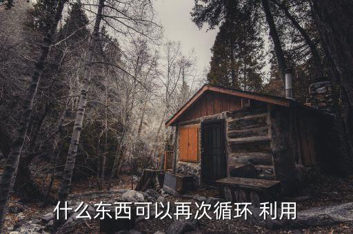 什么东西可以再次循环 利用