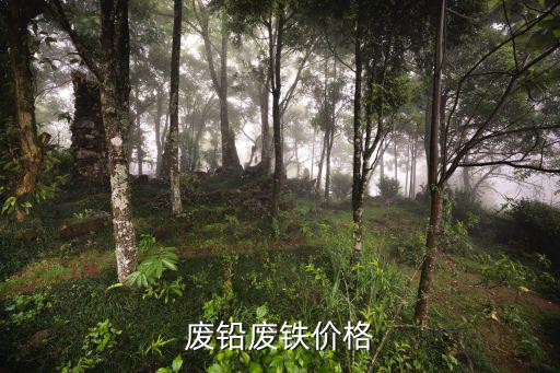废铅废铁价格