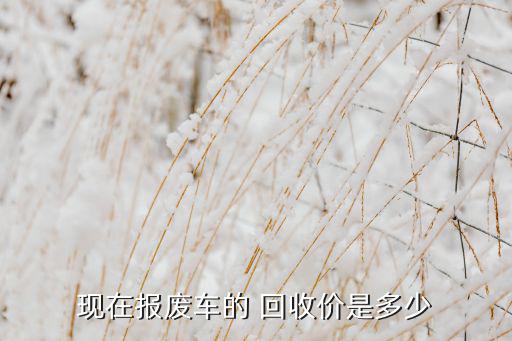 现在报废车的 回收价是多少