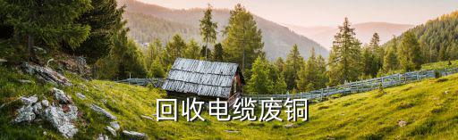 山西废旧物资回收,废品物资回收参照公司经营范围三