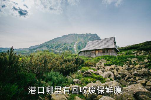 港口哪里有回收废保鲜膜