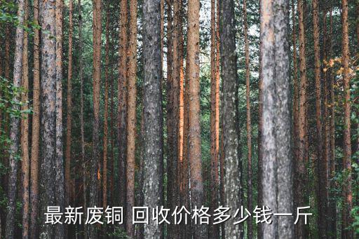 最新废铜 回收价格多少钱一斤