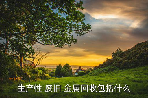 生产性 废旧 金属回收包括什么