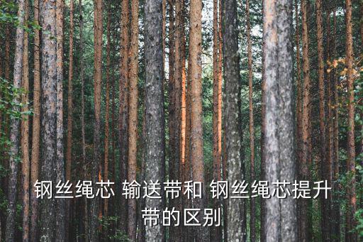  钢丝绳芯 输送带和 钢丝绳芯提升带的区别