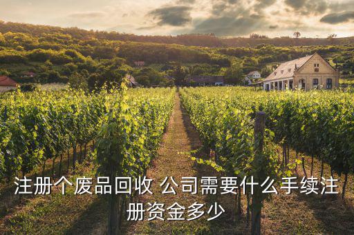 注册个废品回收 公司需要什么手续注册资金多少