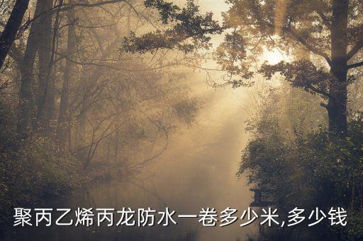 聚丙乙烯丙龙防水一卷多少米,多少钱