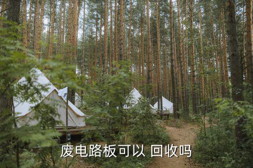 废电路板可以 回收吗