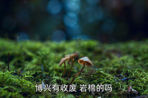 博兴有收废 岩棉的吗