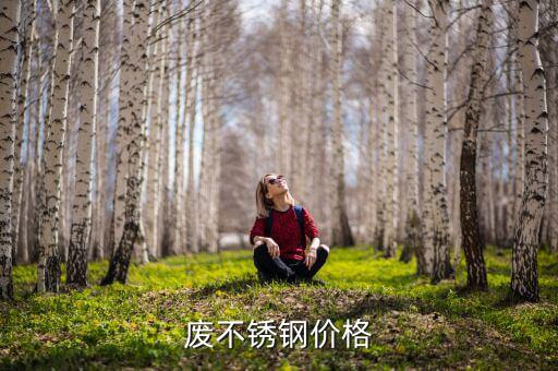 广东省废旧金属报价格,废金属回收市场存不稳定因素