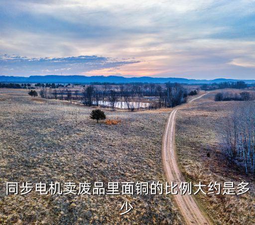 同步电机卖废品里面铜的比例大约是多少