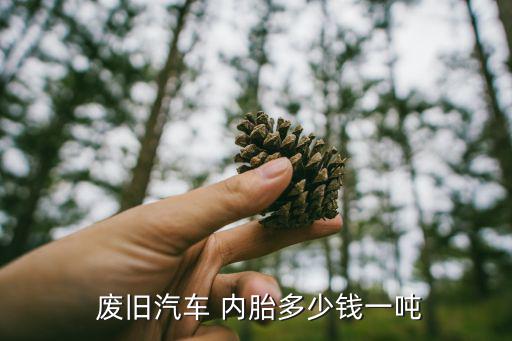  废旧汽车 内胎多少钱一吨