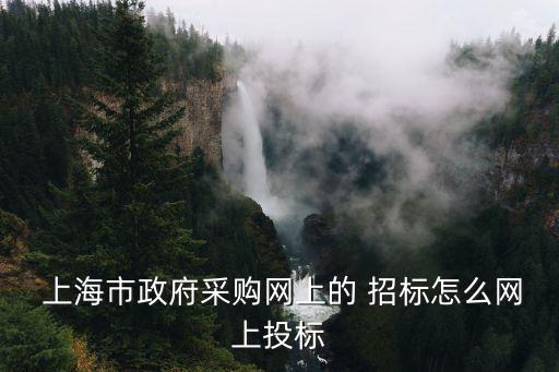  上海市政府采购网上的 招标怎么网上投标
