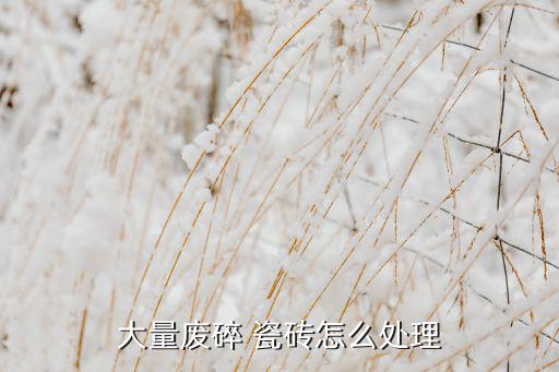 大量废碎 瓷砖怎么处理