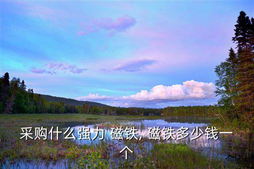 采购什么强力 磁铁, 磁铁多少钱一个