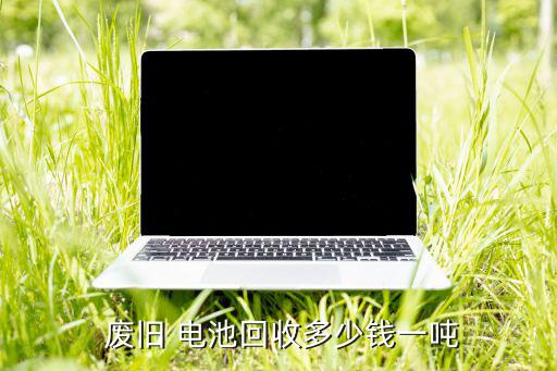 安徽废旧电池行情,天能电池已能提炼废旧电池中99.9%的铅