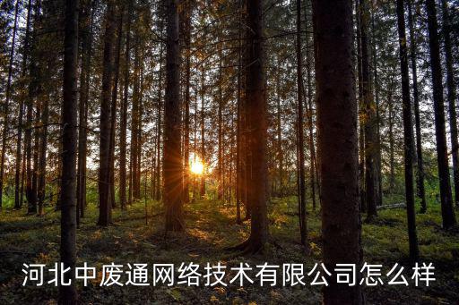 河北中废通网络技术有限公司怎么样
