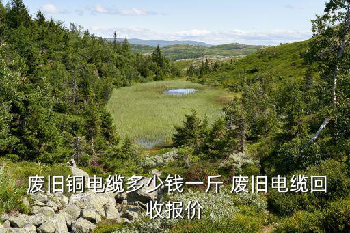 广东废旧铜铝价格,废旧电缆回收价格取决于铜材材价格