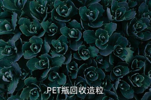 PET瓶回收造粒