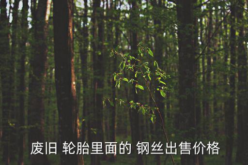  废旧 轮胎里面的 钢丝出售价格