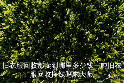 旧衣服回收都卖到哪里多少钱一吨旧衣服回收挣钱吗求大师