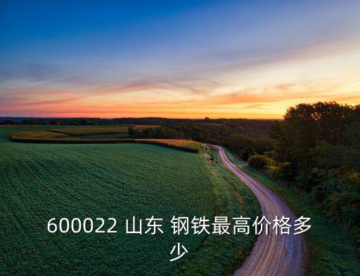 600022 山东 钢铁最高价格多少