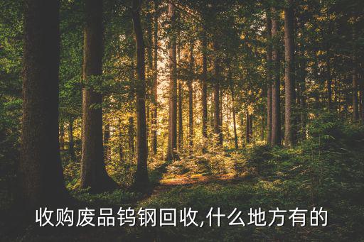 收购废品钨钢回收,什么地方有的