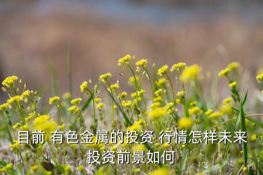 目前 有色金属的投资 行情怎样未来投资前景如何