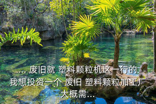 ... 废旧就 塑料颗粒机这一行的我想投资一个 废旧 塑料颗粒加工厂大概需...