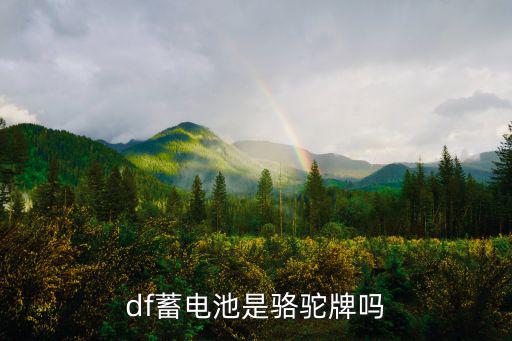 湖北废旧电瓶回收公司,df电池只能说是骆驼公司而非骆驼品牌