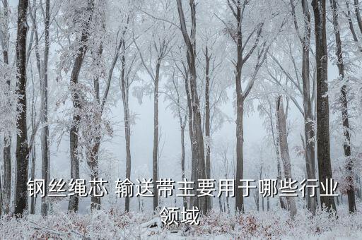  钢丝绳芯 输送带主要用于哪些行业领域