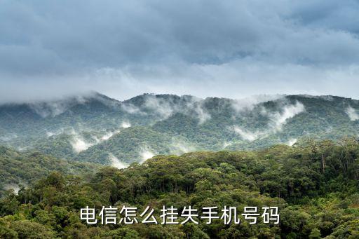 电信怎么挂失手机号码