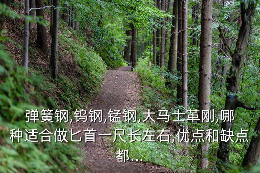 弹簧钢,钨钢,锰钢,大马士革刚,哪种适合做匕首一尺长左右,优点和缺点都...