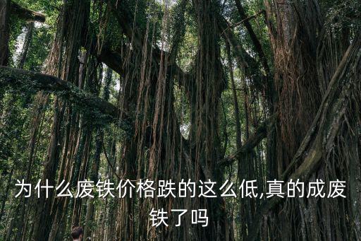 为什么废铁价格跌的这么低,真的成废铁了吗