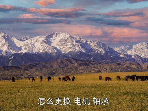 怎么更换 电机 轴承