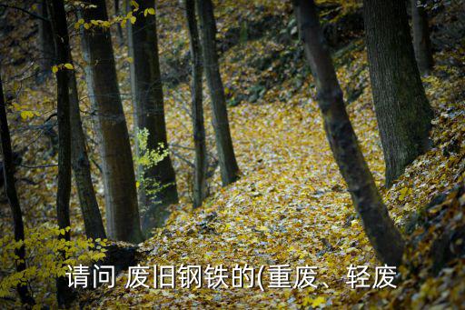 请问 废旧钢铁的(重废、轻废