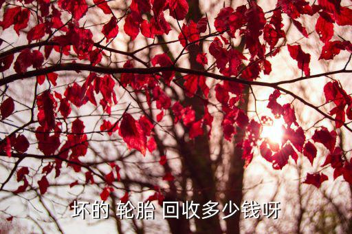 坏的 轮胎 回收多少钱呀