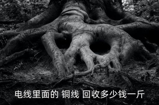 电线里面的 铜线 回收多少钱一斤