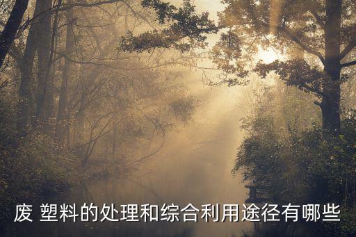 废 塑料的处理和综合利用途径有哪些