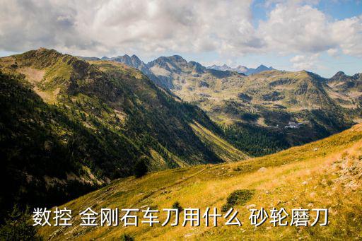 数控 金刚石车刀用什么 砂轮磨刀